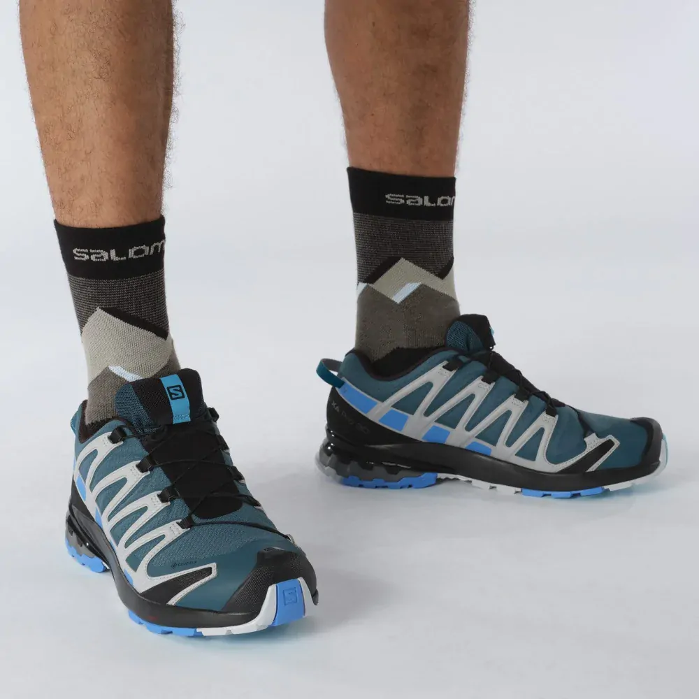 SALOMON OBUV XA PRO 3D v8 GTX LEGION/BLITHE