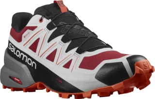 SALOMON SPEEDCROSS 5 GTX CHILLI