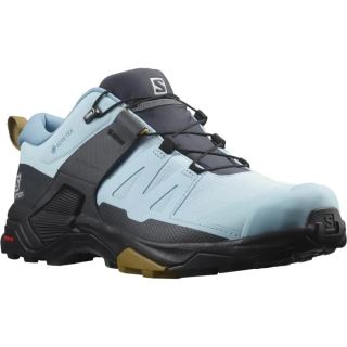 SALOMON OBUV 4 GTX W CRYST/BLK