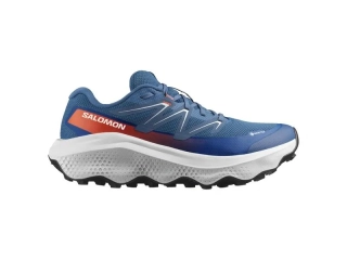 SALOMON OBUV ULTRA FLOW 2 GTX DARKBL/BL/CHER